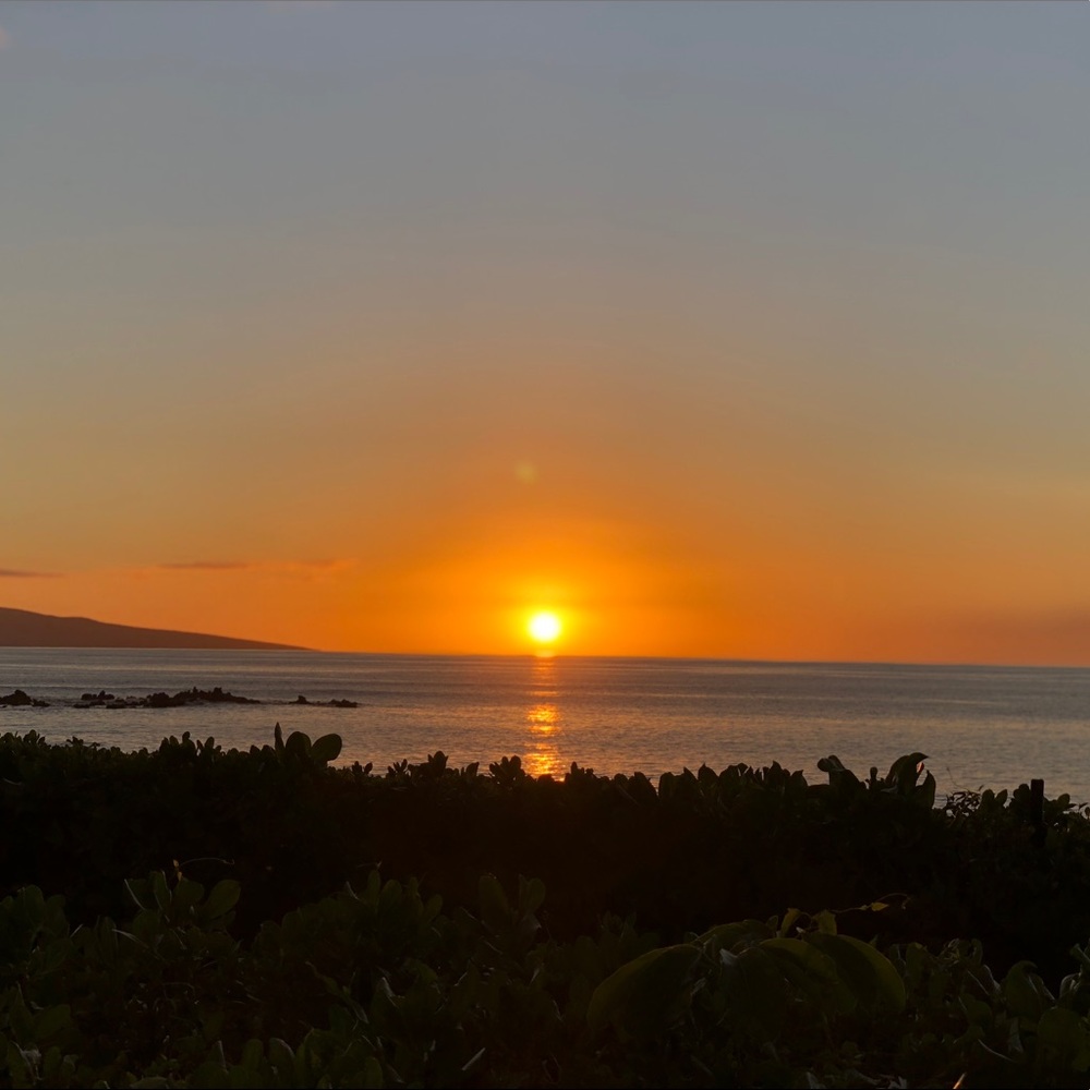 Meet your Posher, Jane